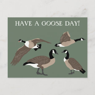 Cartão Postal Bird Lovers Canada Geese Ilustração Personalizada