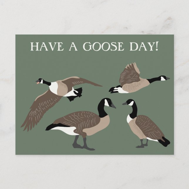 Cartão Postal Bird Lovers Canada Geese Ilustração Personalizada (Frente)