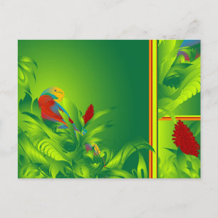 Cartão postal Bird O' Paradise