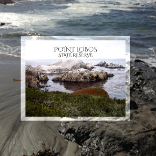 Cartão Postal Bird Rock, Reserva estatal de Point Lobos
