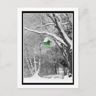 Cartão Postal Birdhouse de inverno