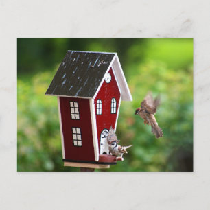 Cartão Postal BirdHouse/Fågelhus