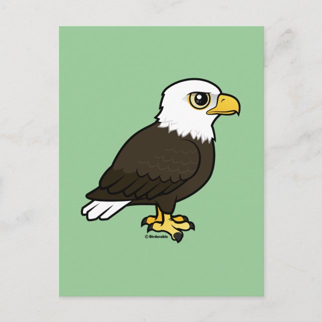 Cartão Postal Birdorable Bald Eagle (Frente)