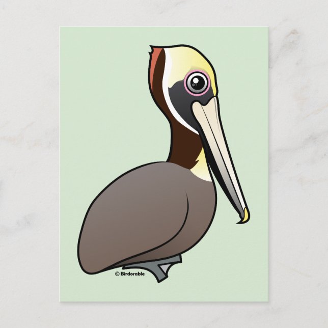 Cartão Postal Birdorable Brown Pelican (Frente)