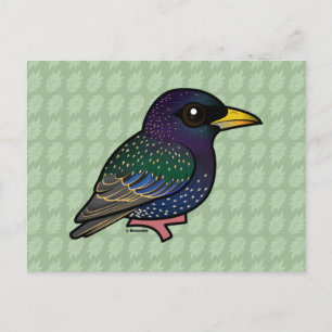 Cartão Postal Birdorable European Starling