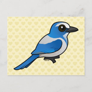 Cartão Postal Birdorable Florida Scrub-Jay