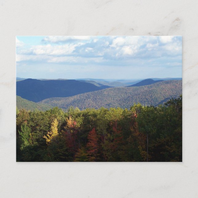 Cartão Postal Birkshires (Frente)