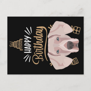 Cartão Postal Birthday Gift Weimaraner