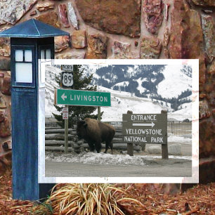 Cartão Postal Bisão, Entrada de Yellowstone, Gardiner, MT