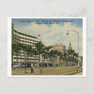 Cartão Postal Biscayne Blvd. Hotéis, Miami, Flórida Vintage