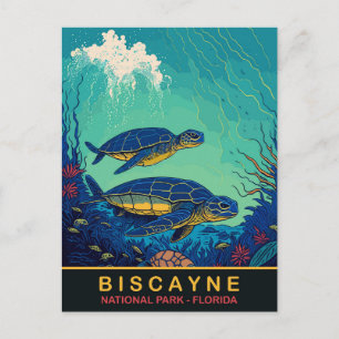 Cartão Postal Biscayne, Tartarugas Subaquáticas, Flórida, Viagen