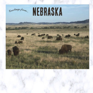 Cartão Postal Bisões em Nebraska