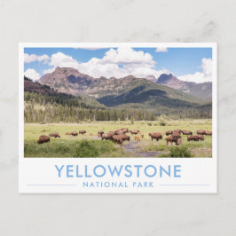 Cartão Postal Bison at Yellowstone National Park Summer Mountain