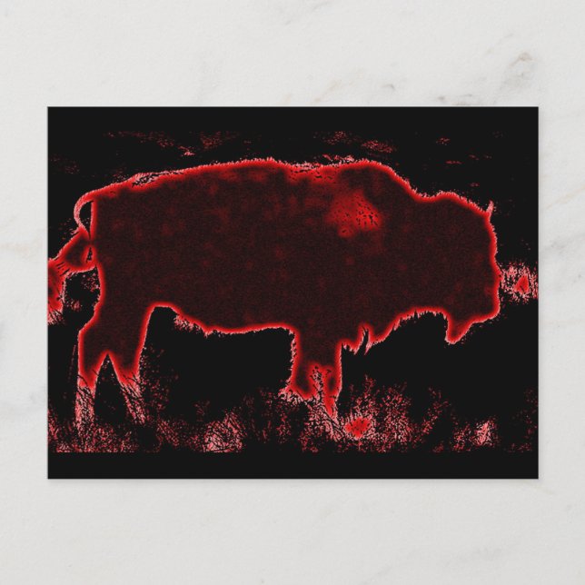 Cartão Postal Bison / Buffalo (Frente)