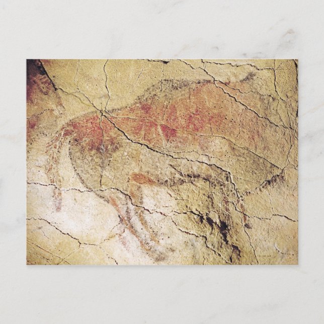 Cartão Postal Bison das Cavernas de Altamira, c.15000 a.C. (Frente)