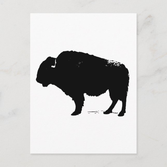 Cartão Postal Bison de Búfalo de Pop Preto e Branco (Frente)