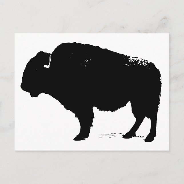 Cartão Postal Bison de Búfalo de Pop Preto e Branco (Frente)