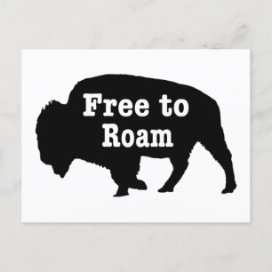 Cartão Postal Bison Free To Roam