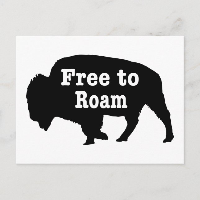 Cartão Postal Bison Free To Roam (Frente)
