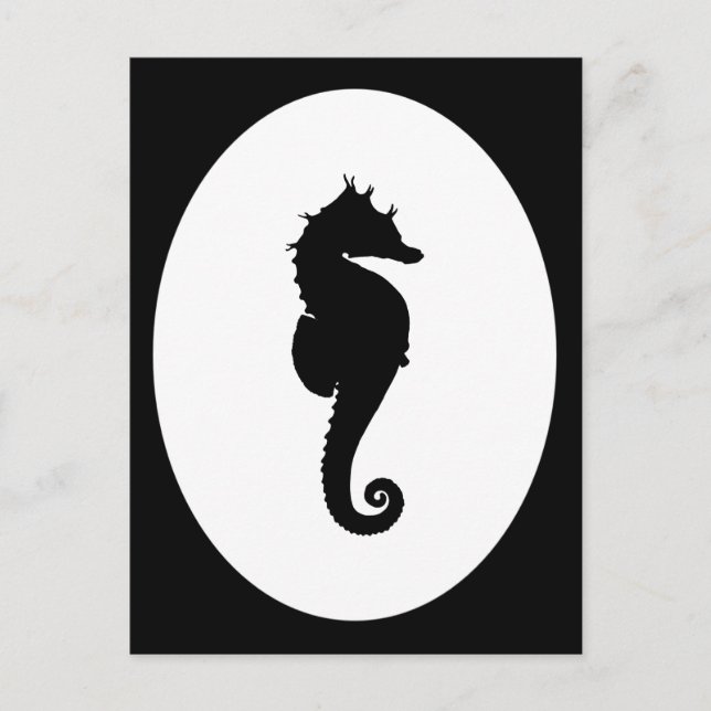 Cartão Postal Black and White Seahorse (Frente)