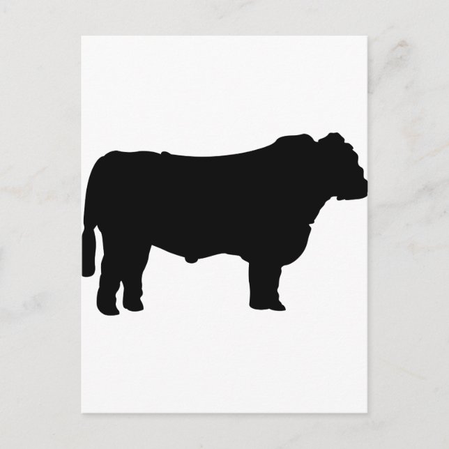 Cartão Postal Black Angus Silhouette (Frente)