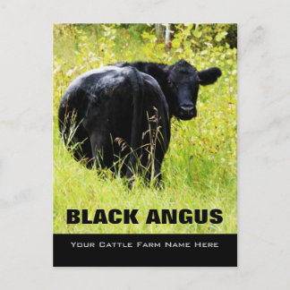 Cartão Postal Black Angus Steer - Adicione O Nome Da Ranhura De