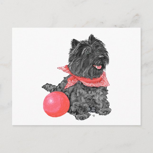 Cartão Postal Black Cairn Terrier com Ball (Frente)