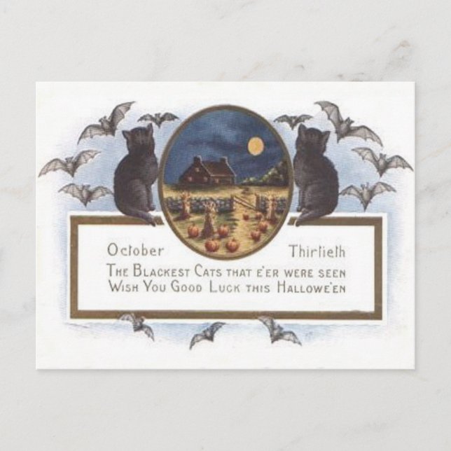 Cartão Postal Black Cat Bat Farm Pumpkin Haystack Full Moon (Frente)