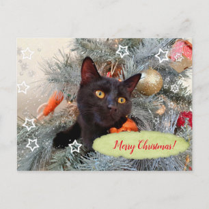 Cartão Postal Black Cat Feliz Natal
