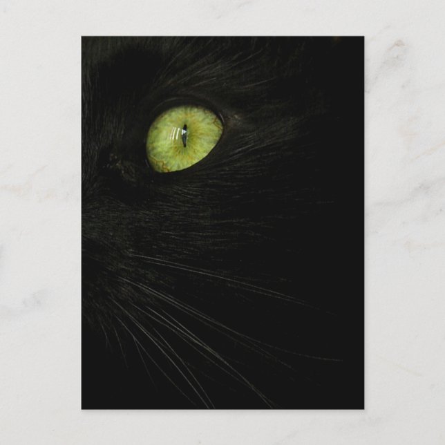 Cartão Postal Black Cat, Green Eye (Frente)