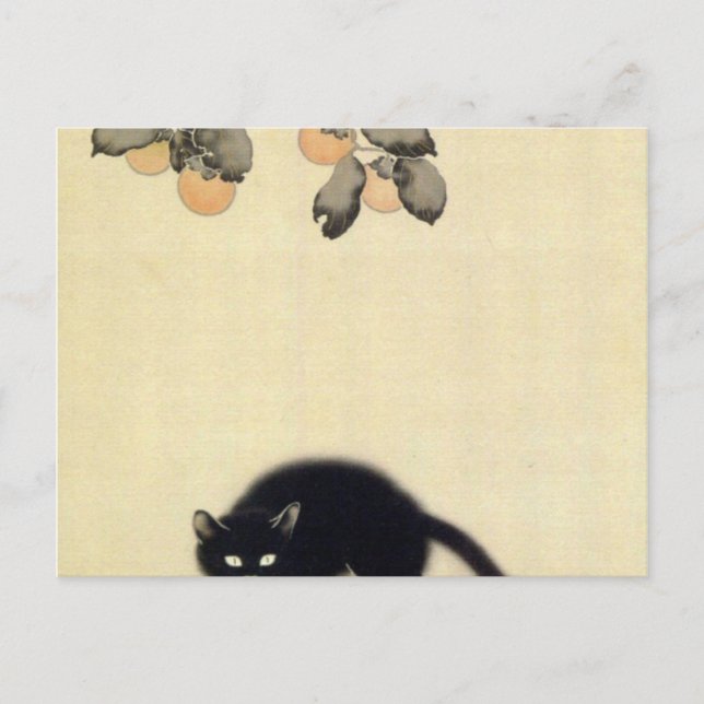 Cartão Postal Black Cat Hishida Shunso (Frente)