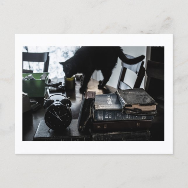 Cartão Postal Black Cat Postcard Print by JH Thornton (Frente)