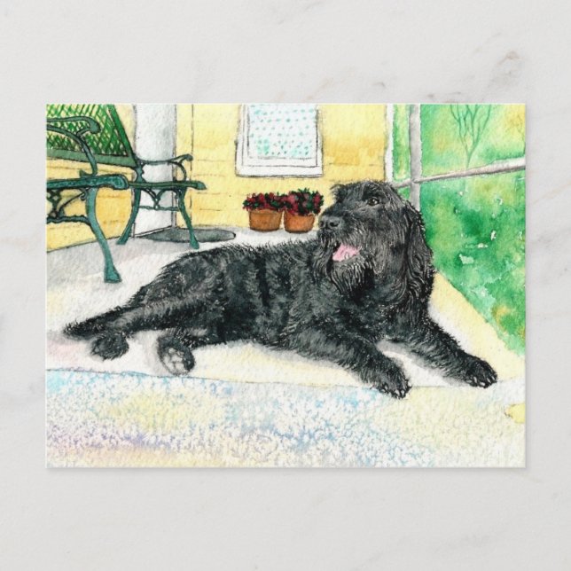 Cartão Postal Black Labradoodle (Frente)