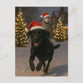Cartão Postal Black Labrador and Partridge Christmas postcard