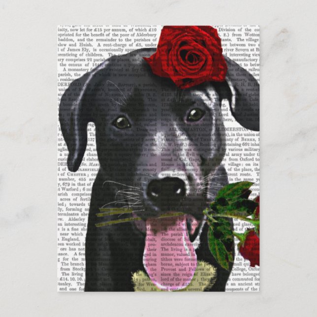 Cartão Postal Black Labrador com Rosas (Frente)