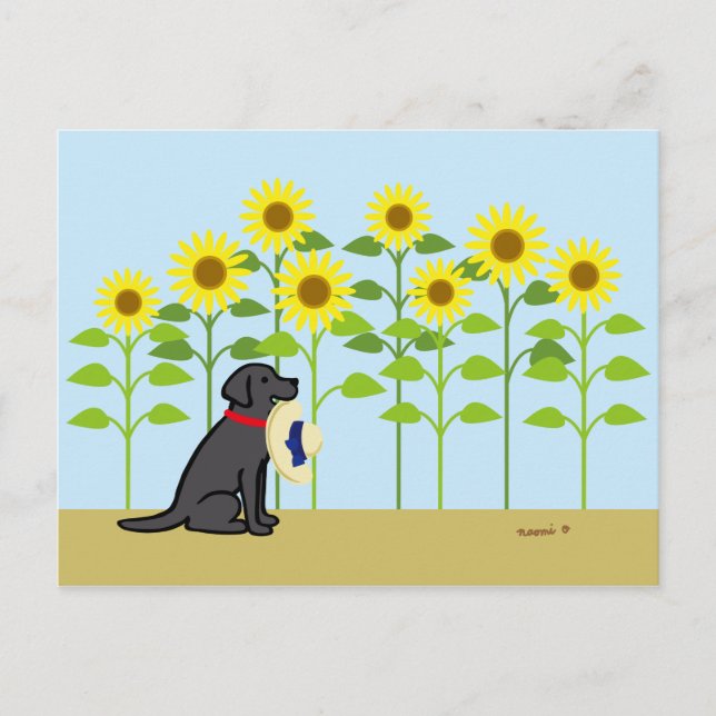 Cartão Postal Black Labrador e Sunflower Summer (Frente)