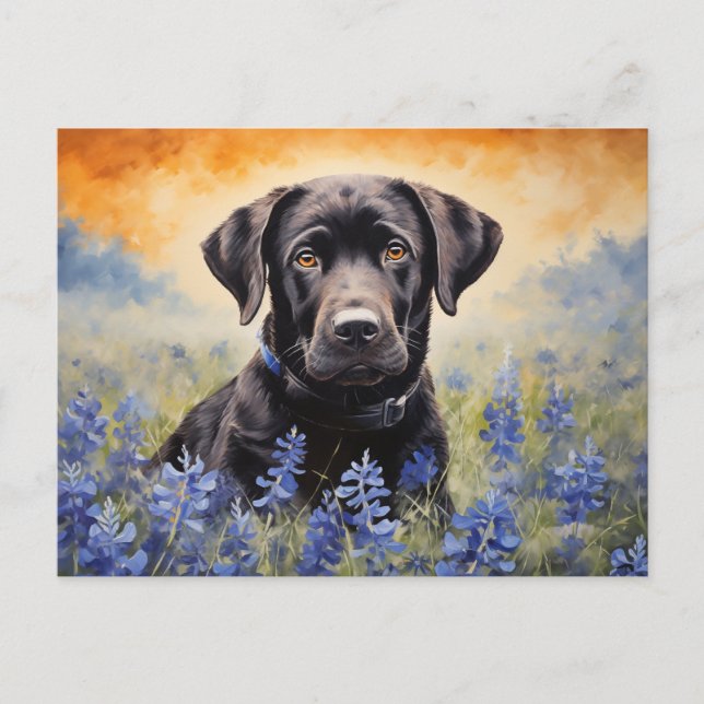 Cartão Postal Black Labrador em Bluebonnets (Frente)