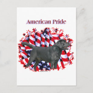 Cartão Postal Black Labrador Pride
