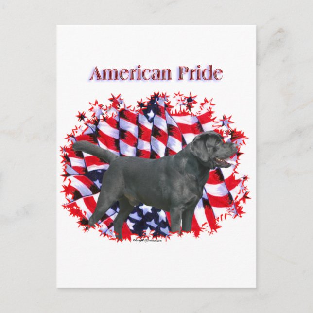 Cartão Postal Black Labrador Pride (Frente)