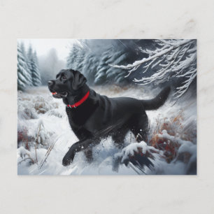 Cartão Postal Black Labrador Retriever Dog in the Snow Postcard