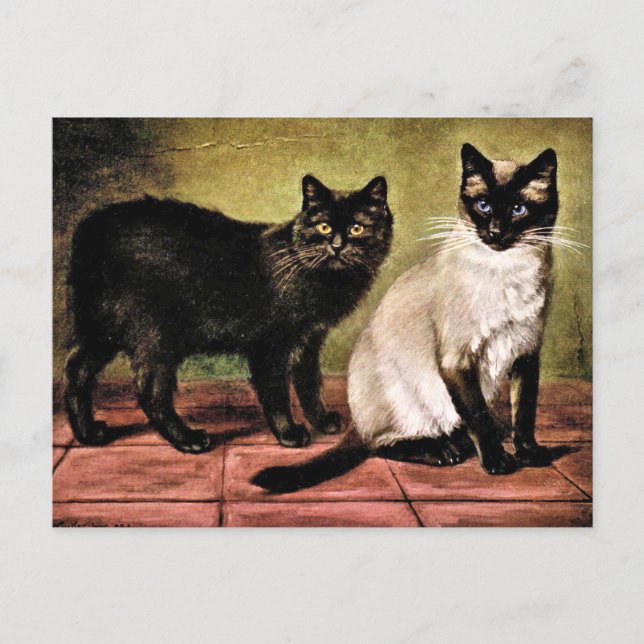 Cartão Postal Black Mank e Royal Siamese Cat (Frente)
