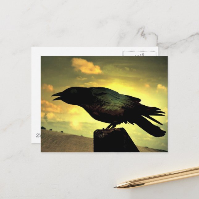 Cartão Postal Black Raven (Frente/Verso In Situ)