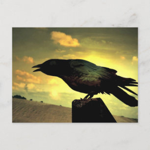Cartão Postal Black Raven