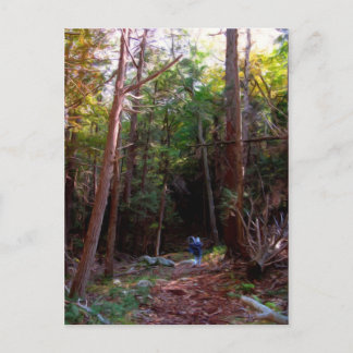 Cartão Postal Black Rock Trails, Harriman State Park, Nova Iorqu