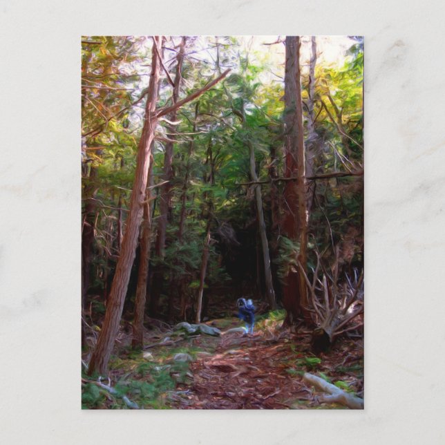 Cartão Postal Black Rock Trails, Harriman State Park, Nova Iorqu (Frente)