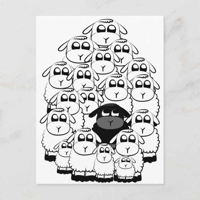 Cartão Postal Black sheep (Frente)