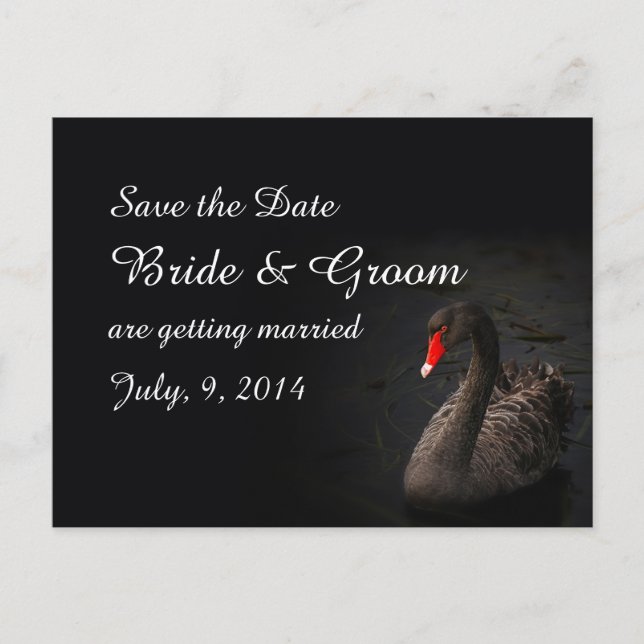 Cartão Postal Black Swan Save the Date (Frente)