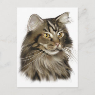 Cartão Postal Black Tabby Maine Coon Cat