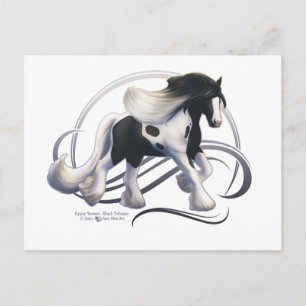 Cartão Postal Black Tobiano Gypsy Vanner Horse