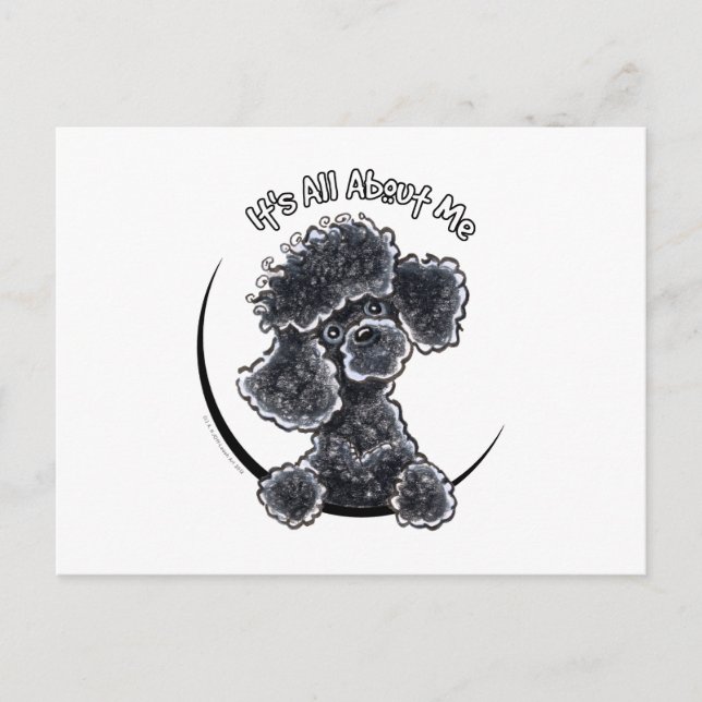 Cartão Postal Black Toy Poodle IAAM (Frente)
